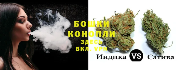 дживик Аркадак