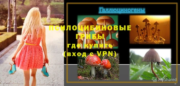 дживик Аркадак